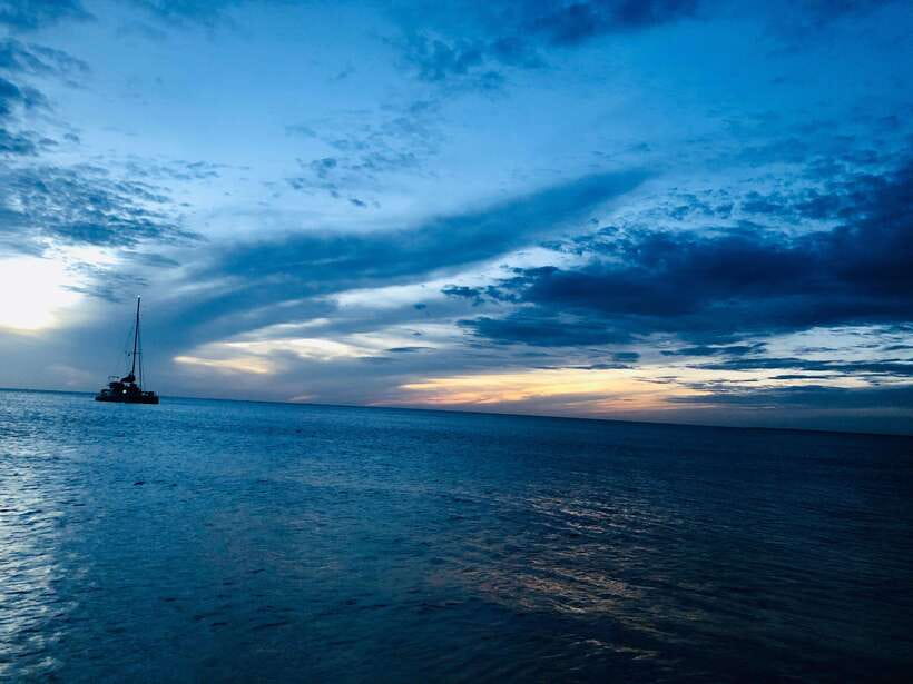 Trincomalee : Whale & dolphin watching +pigeon island tour - Small Group Size, Private Feel, and Guide Support