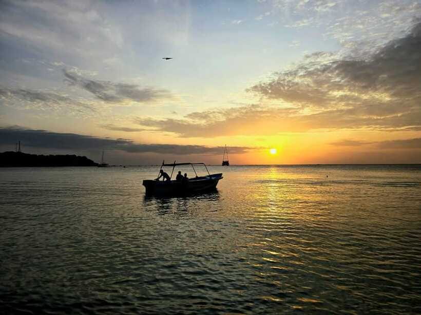 Trincomalee : Whale & dolphin watching +pigeon island tour - Price and Value at About $185 Per Person