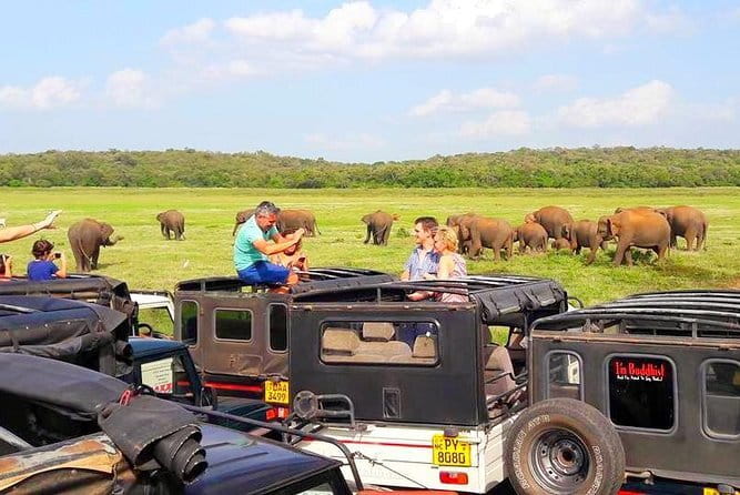 trip sri lanka (10 Days , 9 Nights) with driver, vehicle and H/B accommodations - Whale Watching from Mirissa, Timed Right and Explained Simply