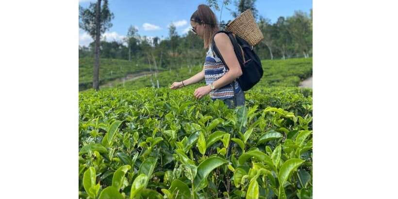 Tuk Tuk Kandy City Tour By Local Guide - Tea Factory and Plantation Stop: Souvenir Value and Real Learning