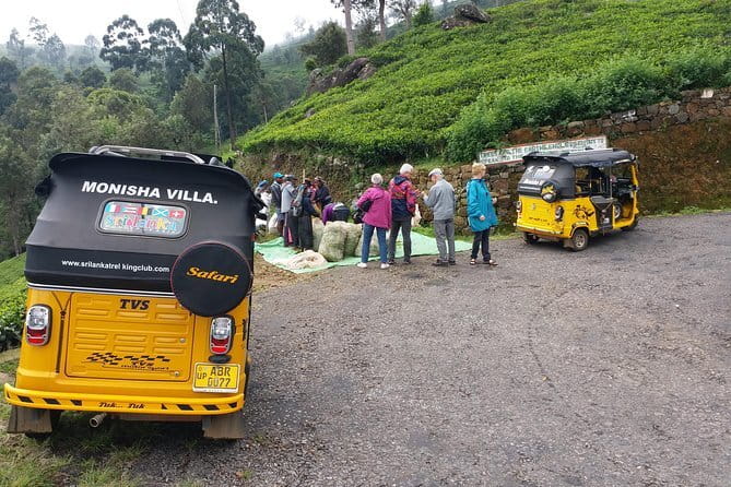 Tuk Tuk safari and Picnic in The Tea Plantation from Ella,Haputale & Bandarawela - From Ella to Lipton’s Seat, in a Tuk Tuk