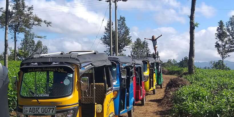 Tuk-Tuk Safari Liptons seat,Tea Fields Hike,TeaFactory Tour - The 7-Hour Schedule: Where the Time Really Goes