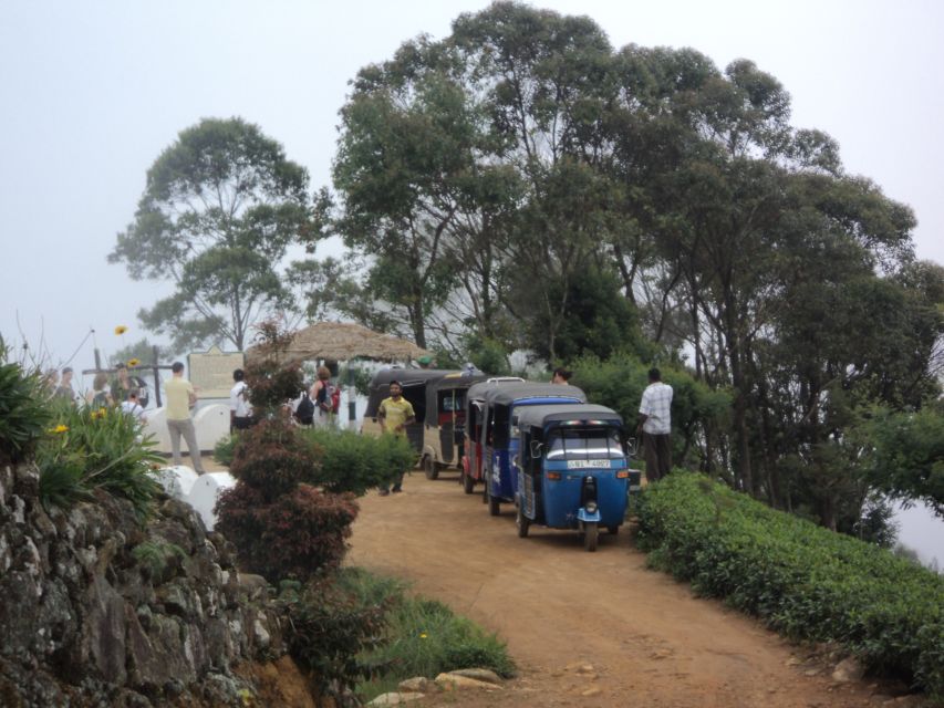 Tuk-Tuk Safari Liptons seat,Tea Fields Hike,TeaFactory Tour - Price and Value: Is $60 a Good Deal for a Full Tea Day?