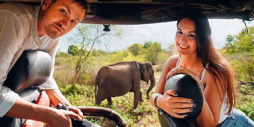 Udawalawa National Park: All-Inclusive Private Day Tour - Key highlights at a glance