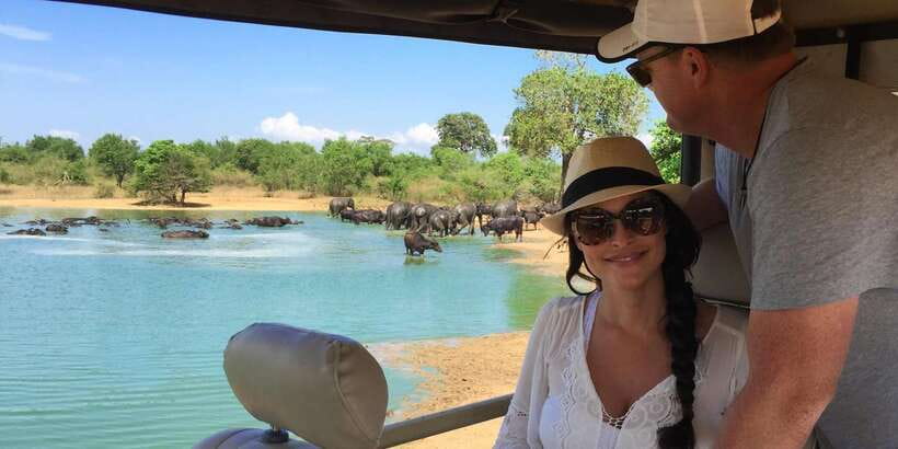 Udawalawa National Park: All-Inclusive Private Day Tour - Udawalawe safari, done the practical way