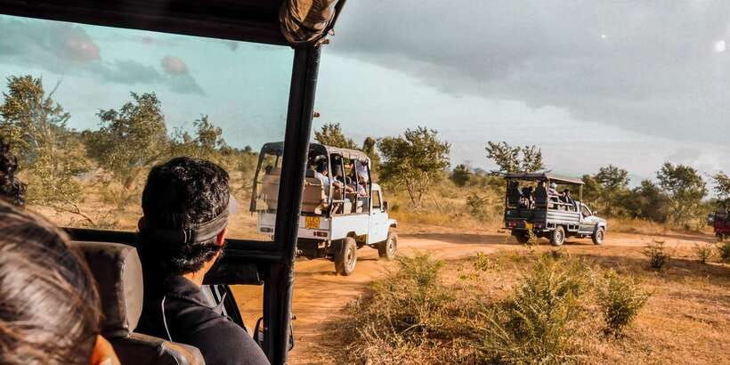 Udawalawa National Park: Private Safari - Udawalawe in 3 hours, why this short safari can work