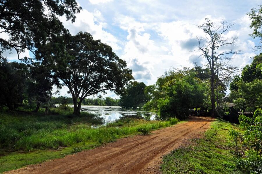 Udawalawa National Park: Private Safari - Who this Udawalawe safari suits best