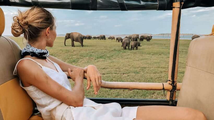 Udawalawa National Park Safari Tour with Experienced Guides - The 7-passenger safari jeep ride, and why it’s worth it