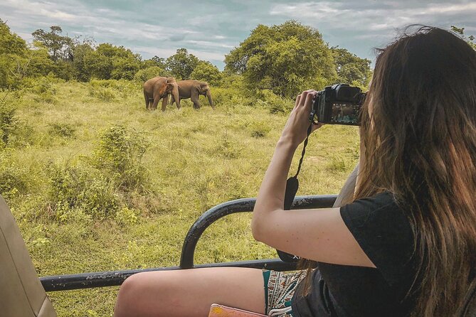 Udawalawa Safari Drive From Galle, Weligama, Mirissa & Dickwella - Morning Pickup at 5 AM, and Why It Matters for Elephants