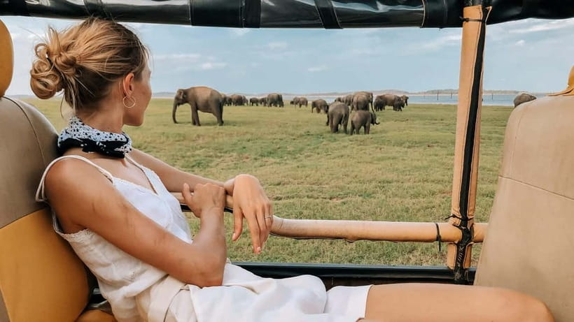 UDAWALAWA SAFARI TOUR from HAMBANTOTA PORT (Shore Excursion) - Should you book the Udawalawe safari from Hambantota Port?