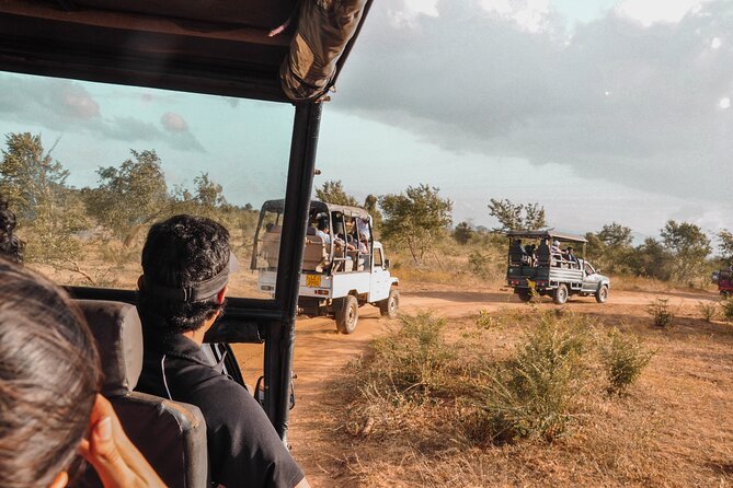 Udawalawe National Park Entrance Ticket with Private Safari - Key things that make this safari work