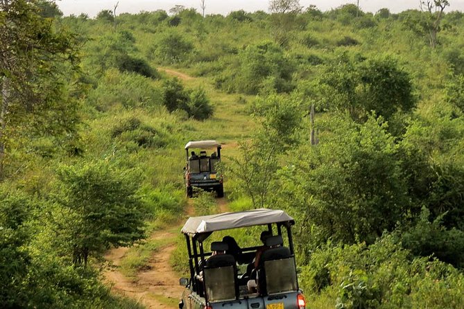 Udawalawe National Park Entrance Ticket with Private Safari - Is this really a private safari? What small-group means for you