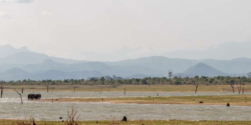 Udawalawe National Park Private Full-Day Safari - From the park gate into marsh and grassland