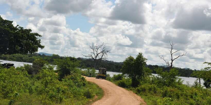 Udawalawe National Park Private Full-Day Safari - Udawalawe Reservoir: where crocodiles and elephants share the water