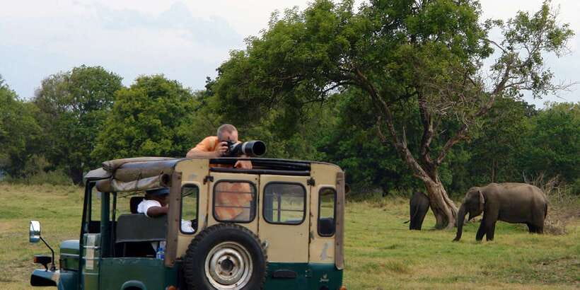 Udawalawe National Park Private Full-Day Safari - Elephants aside, what else you can realistically expect
