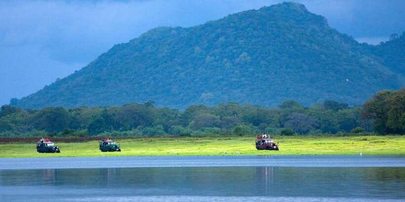 Udawalawe National Park Private Full-Day Safari - Your private 4x4 Jeep setup, and why it matters