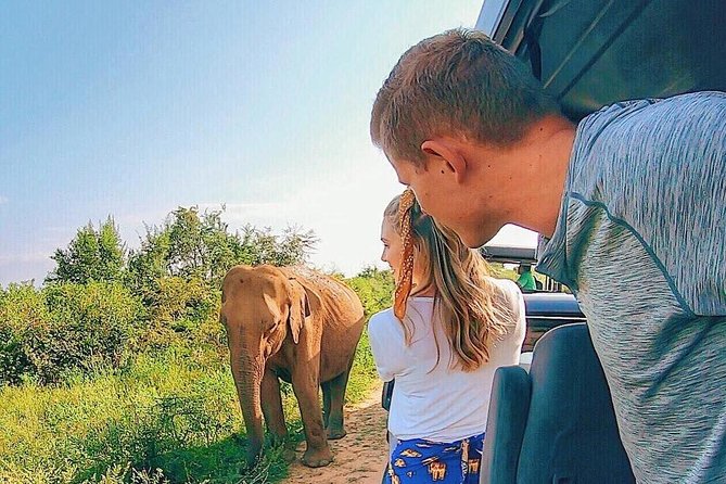Udawalawe National Park Private Safari - Udawalawe National Park, The Big Picture That Helps You Spot Animals
