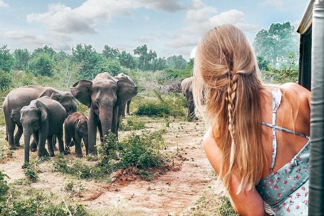 Udawalawe National Park Private Safari - What to Expect From Your Guide, Including the Human Side