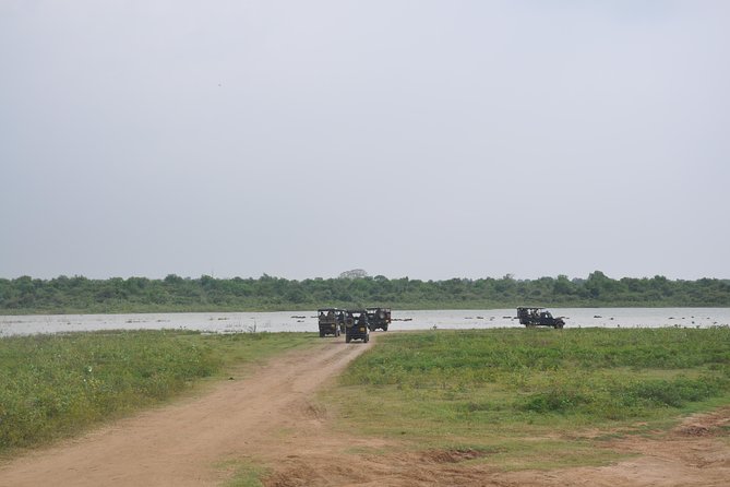 Udawalawe National Park Safari from Bentota - Lunch breaks and real-world comfort