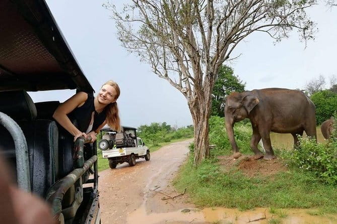 Udawalawe National Park Safari | From Ella - What’s included, and what you’ll pay separately