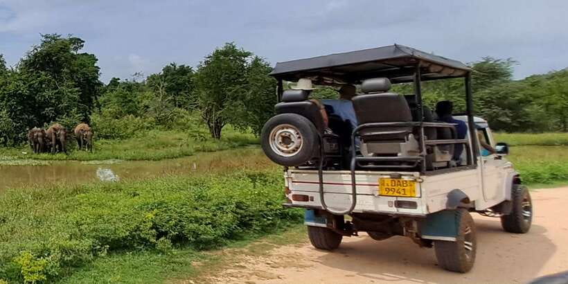 Udawalawe National Park Safari Tour - Getting from your hotel to Udawalawe without wasting daylight