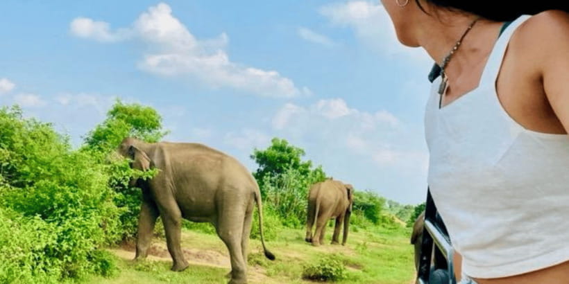 Udawalawe National Park: Safari with Experienced Driver - First Comes the 15-Minute Transfer From Hotel Niwahana