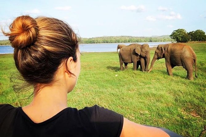 Udawalawe National Park Safari With Transfers From Colombo - Your itinerary on the clock: Colombo, ETH, then Udawalawe