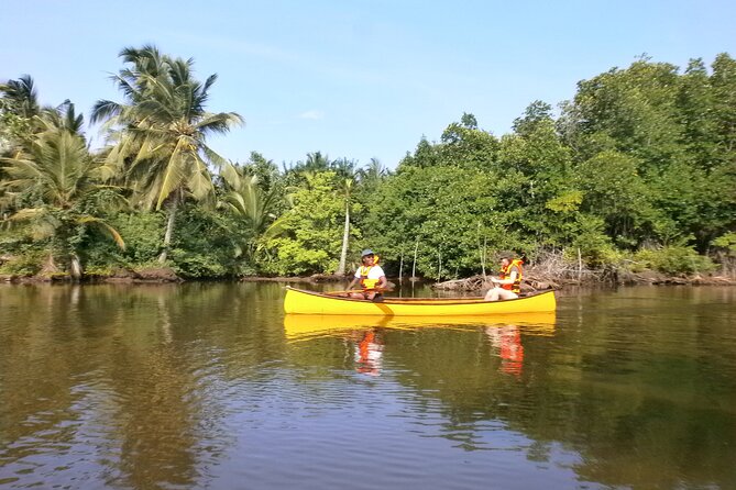 Unawatuna Lagoon Canoeing Excursion - How the Guide Changes the Experience (And Why It’s Worth Paying For)