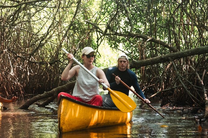 Unawatuna Lagoon Canoeing Excursion - Where You Start: Chameera Cycling, Meeting Point, and the Tuk-Tuk Ride