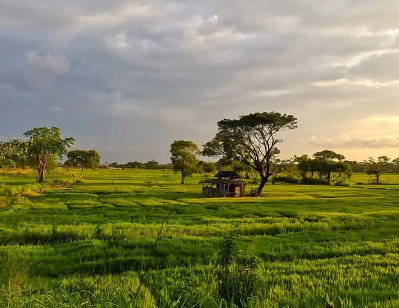 Unseen Sigiriya: Village & Rock Viewpoints by Tuk Tuk - Wildlife Moments: Elephants, Crocodile, and the Joy of Surprise
