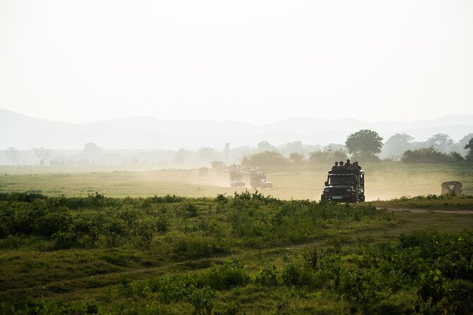 VALUE PACK! One Day Safari Tour to Yala and Udawalawa Parks - Lunch and the Transition to Udawalawe