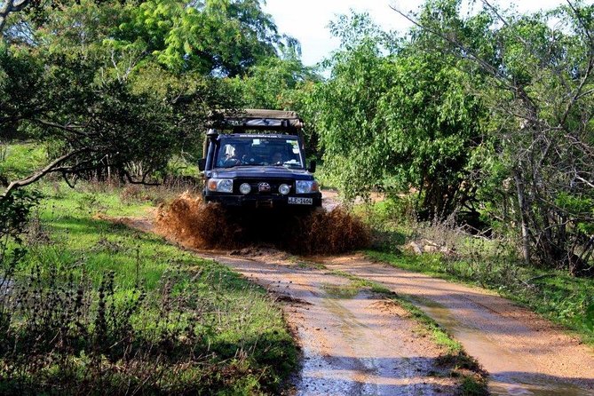 VALUE PACK! One Day Safari Tour to Yala and Udawalawa Parks - Udawalawe National Park: 3 Hours of Wildlife Time