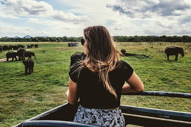 VALUE PACK! One Day Safari Tour to Yala and Udawalawa Parks - Transfer Comfort, English-Speaking Guides, and the Reality of Long Days