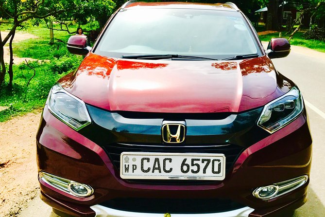 VIP Transport - Meeting Up Smoothly: Pickup and Mobile Ticket Help