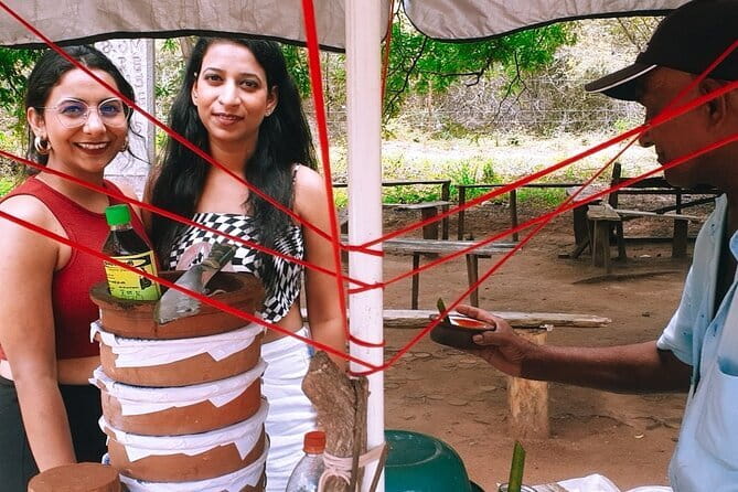 Visit Around Ella with diyaluma falls - Price and What You Actually Get for $65