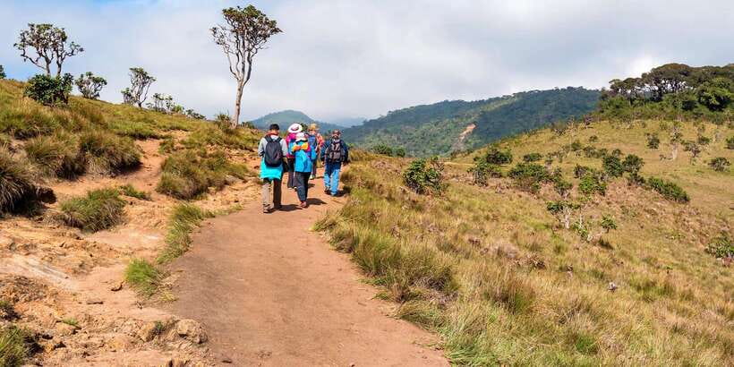 Visit Horton plains and Nuwara Eliya from Ella - Key points to know before you go