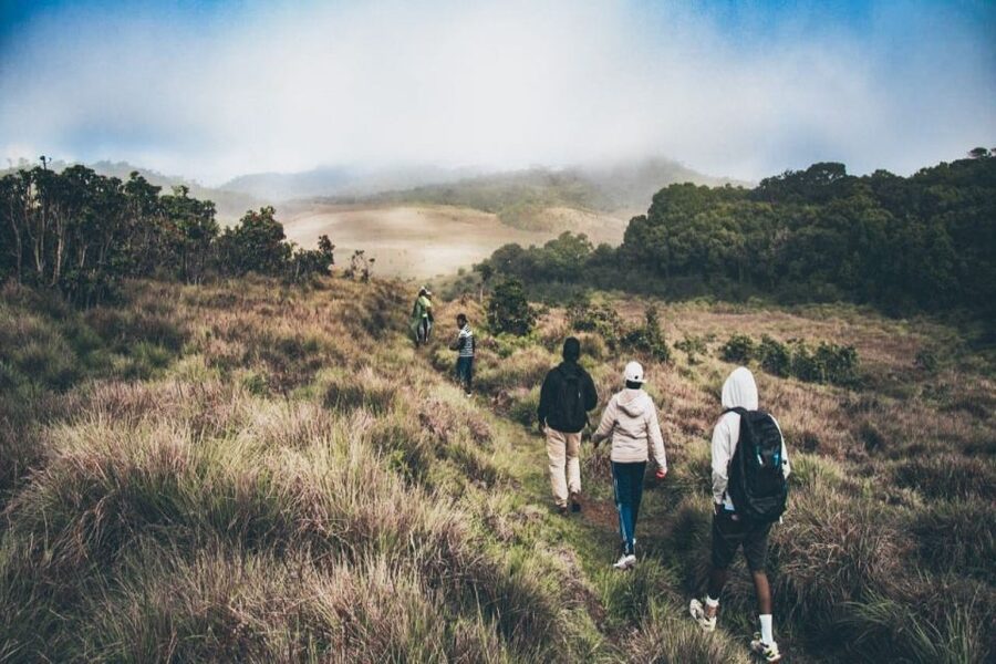 Visit Horton plains and Nuwara Eliya from Ella - Tea plantation and factory: what you should watch for