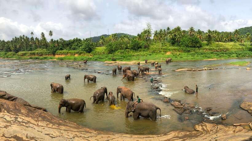 Visit sri Lanka 7 Days Round Trip - Day 3: Tea country, Nuwara Eliya, and the Nanuoya to Ella train ride