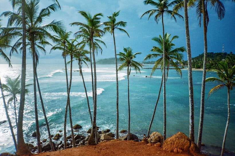 Visit sri Lanka 7 Days Round Trip - Day 6: Whale watching session and beach time on the South Coast