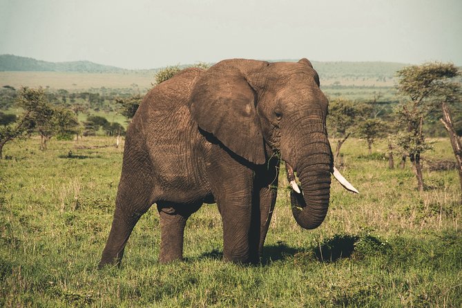 Wasgamuwa National Park Safari - What the ride feels like in a 4WD game vehicle