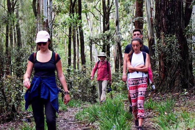 Wasgamuwa National Park Safari from Kandy - Pickup from Kandy: comfort matters more than you think