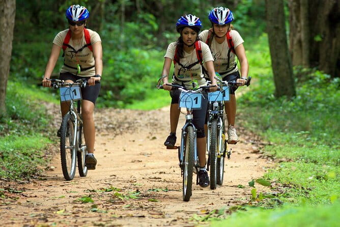Wasgamuwa National Park Safari from Kandy - How the jeep safari time really pays off