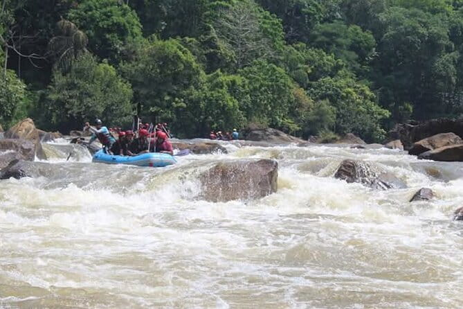 Wasgamuwa National Park Safari from Kandy - The quick Kandy stop: why it can still be useful