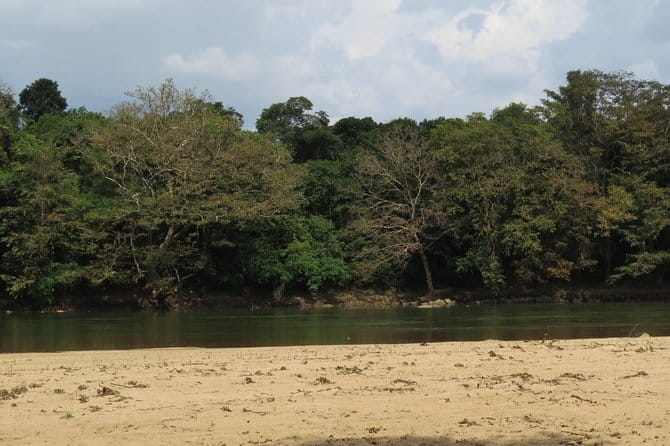 Wasgamuwa National Park Safari from Kandy - The 10-hour timing: how the day flows without wasting your animal time