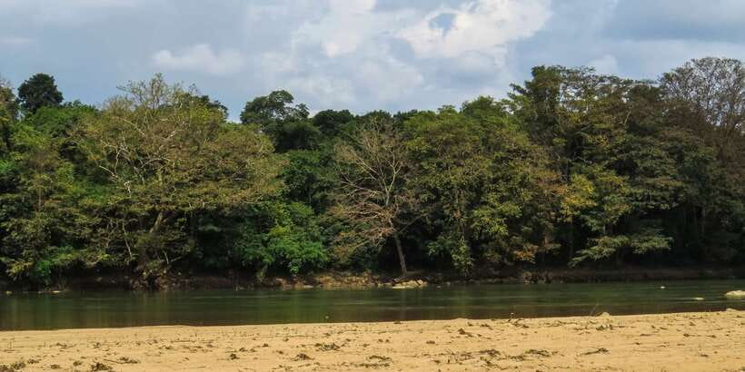 Wasgamuwa: Wasgamuwa National Park Private 3-Hour Safari - Water pools for crocodile, python, and water monitor, plus birdwatching too