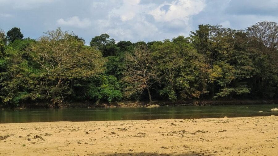 Wasgamuwa: Wasgamuwa National Park Private 3-Hour Safari - Your driver-guide in English: why smart stops change what you see