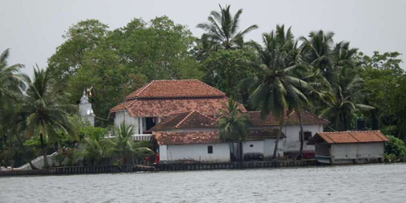 West coast Beach, River Mangroves lagoon, Wildlife boat Tour - Who should book this West Coast mangrove and wildlife tour