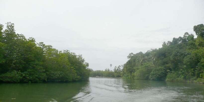 West coast Beach, River Mangroves lagoon, Wildlife boat Tour - Bentota Beach at the end, and why that last hour matters