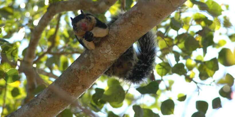 West coast Beach, River Mangroves lagoon, Wildlife boat Tour - Small group and language, the comfort factors that change the whole day