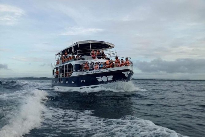 Whale Watching Experience in Mirissa - The 4-Hour Rhythm: What Happens Once You’re Out at Sea